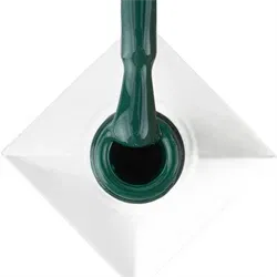 Verte No. 490, AntiDepressant, Molly Nails